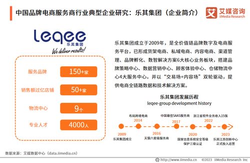 2023年中國(guó)品牌電商服務(wù)商行業(yè)研究報(bào)告 社會(huì)經(jīng)濟(jì)咨詢(xún)服務(wù)洞察